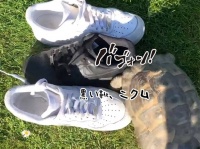 黒い靴、ニクイ。黒色の靴を履いている人だけ次から次へと襲う亀