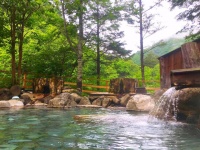 日光の山々を望む混浴露天風呂