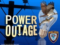 容疑者は鳥。空から魚を落とし町を数時間の停電に陥れたとを警察が発表