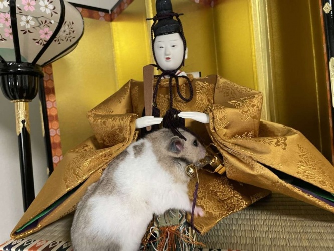 よしよし
