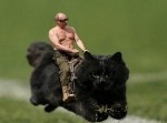 ラグビー試合中に乱入した黒猫、早速コラ職人のターゲットになる