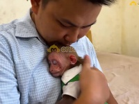 お父さんが帰ってきた！留守中毎日窓際で待ち続けた子ザルが喜びを全身で表現