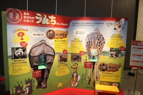 うんち