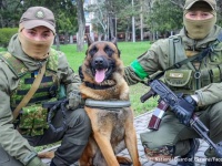 ロシア軍に放棄された軍犬が救助され、ウクライナの軍犬に