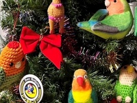 「ホンモノ」はたった1羽だけ　鳥だらけクリスマスツリーの中から、あなたは見つけだせるかな？