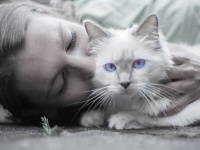 頭を撫でさせてくれるのに8年もかかった元野良猫だけど、実は飼い主の知らないところで...感動の猫愛物語