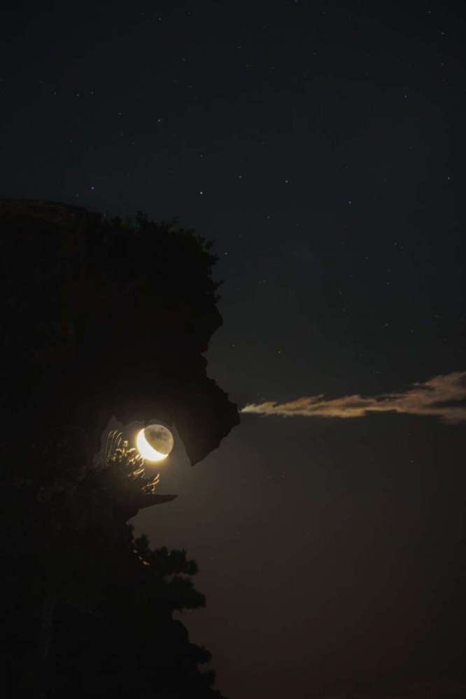 獅子、月、雲とすべてがベストタイミングな写真だ（画像はまちゅばら＠mpmb7さん提供）