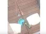 痛快！　下の階に落としたサングラスを、紐と掃除用具で救出！