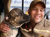 保護施設の犬、配達員にロックオン。車に飛び込み飼い犬となる(アメリカ)