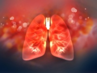 死亡後に摘出した損傷の激しい人間の肺をブタに移植して再生することに成功（米研究）