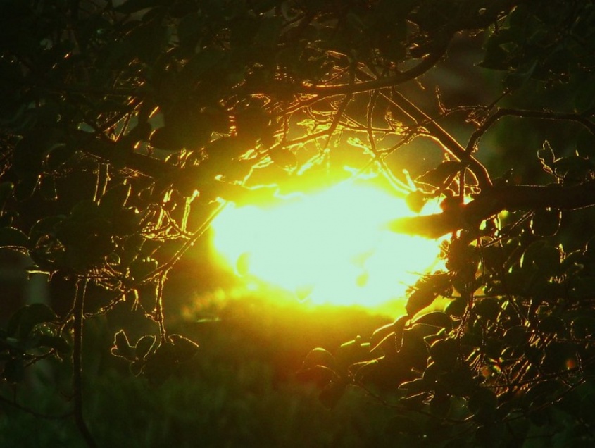 画像はイメージです