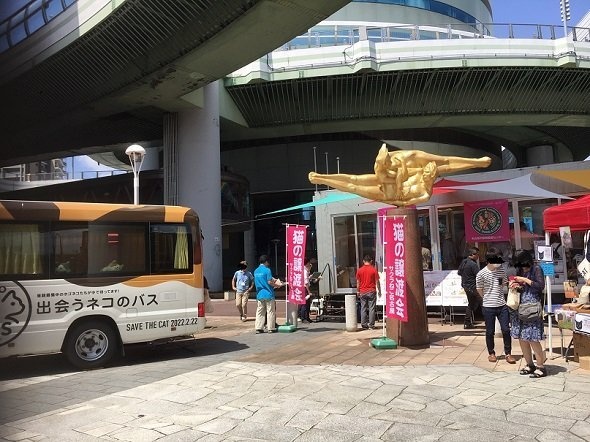 猫の譲渡会の会場前(画像提供:名古屋市健康福祉局健康部)