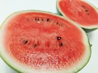 「すげえ」「俺が目指してるのはこれだ」　この世で最も〝キレイにスイカを食える猛者〟に7.4万インプ