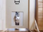 こんな小さいのもいけるのか…？　猫がどこまで狭い穴を通過できるか試してみた。