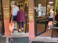 思わず二度見。店に入ろうとするフラミンゴと、フラミンゴのためにドアを支えるジェントルマン