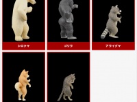 動物たちの“壁ドン”にトキメキが隠せない！「K－DON!ANIMALS」予約受付中