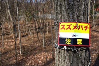画像はイメージ