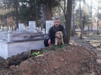 主人が亡きあとも墓守りとしてその棺を守り続ける犬（トルコ）