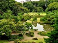 みどりの日の意味、知ってる？