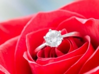 女性があえて「ダイヤなしの結婚指輪」を選んだ理由