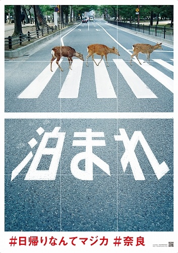 以下画像は奈良市観光協会提供