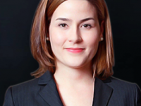 ウェーブリンク株式会社のプレスリリース画像