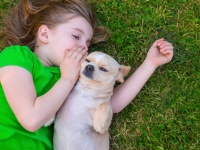 子役・寺田心君の、“大人越えしたコメント力”に世間では心配の声