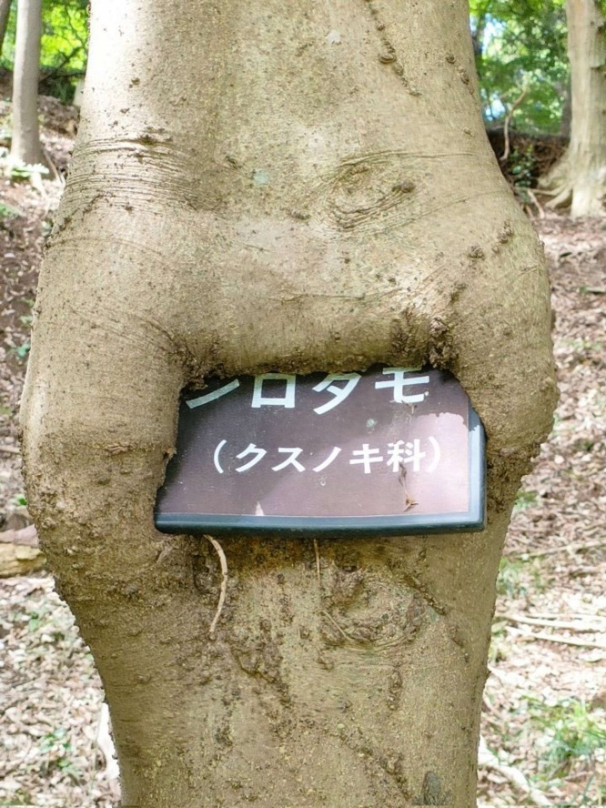 顔みたいだ