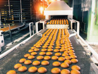 Research Nester Private Limitedのプレスリリース画像