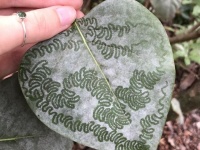 自然って凄い！別のものに見えたり、意表を突いたり。遊び心満載の面白写真