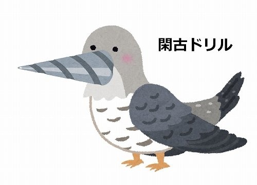 閑古ドリル（画像は桂浜水族館公式ツイッターアカウントより）