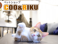 有限会社 Coo&amp;RIKUのプレスリリース画像