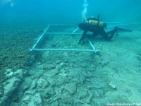 クロアチアの海底で奇妙な構造物を発見。7000年前に作られた石の道路だった