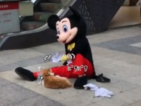 こう熱くっちゃよぅ、お前も中の人大変よな。猫に風を送るミッキーマウス（シュール）