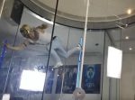 フレディが宙を舞う！　名曲に合わせたインドアスカイダイビングの演技で魅せる！