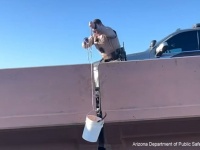 道路から飛び降りようとしている人がいる、と通報を受けた警官だが一緒に猫を救うこととなる