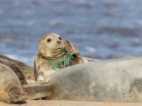 ものの数分でプラスチックを完全に分解する新たな触媒が開発される