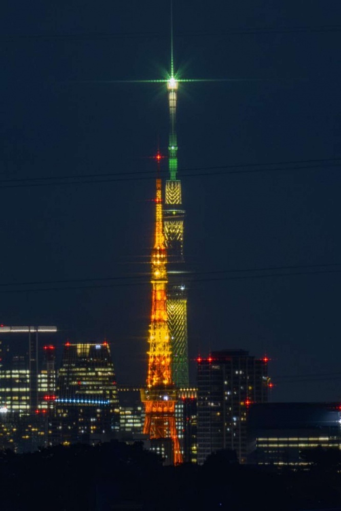 東京のシンボルが寄り添う（画像提供：ポムの蒼。(ポムノアオ)(＠pomu_iyashi)さん）