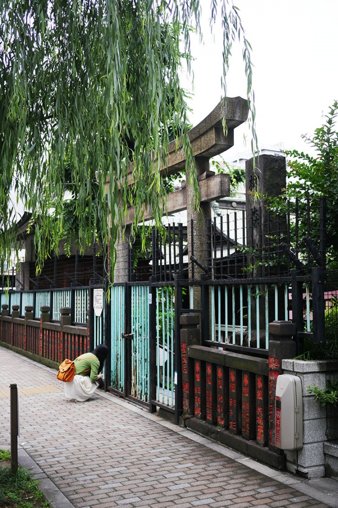 akiba7