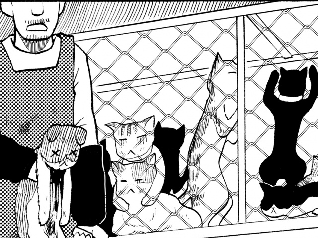 レインボーに染められる飼い犬 中国の残酷すぎる ペット事情 デイリーニュースオンライン