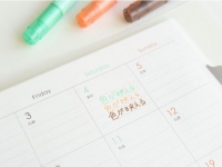 文字が見やすいパウダーカラー罫線の「ルーズリーフダイアリー」発売