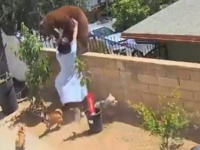 人は守りたいものがあるとき強くなれる。愛犬を守るため素手で熊を撃退した少女