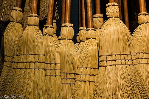 画像はイメージです（Kathryn Hileさん撮影、Flickrより）