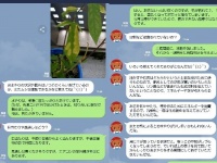 提供画像