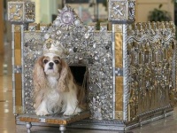 アーティストたちのデザインした犬小屋…犬豪邸がオークションでオンセール