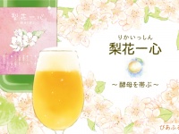 渡部有未菜のプレスリリース画像
