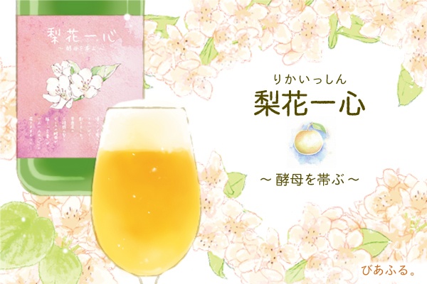 渡部有未菜のプレスリリース画像