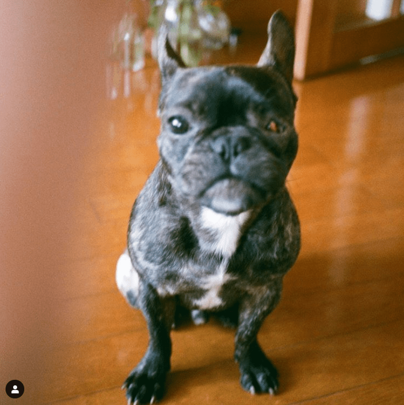 ※画像はラブリのインスタグラムアカウント『＠loveli_official』より