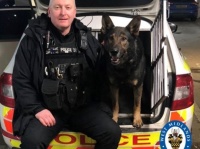 お手柄警察犬！雑草の中からあっという間に結婚指輪を見つけ出す（イギリス）