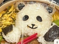 「同じ商品なのに、どうした？」　可愛い「パンダ弁当」の〝個体差〟に8.9万人驚がく